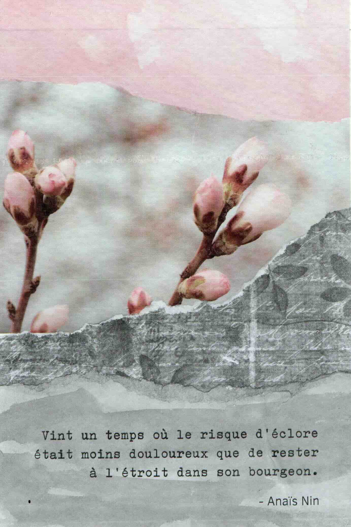 Tableau avec une citation d'Anaïs Non